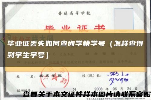 毕业证丢失如何查询学籍学号（怎样查得到学生学号）缩略图