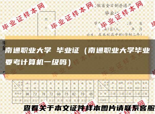 南通职业大学 毕业证（南通职业大学毕业要考计算机一级吗）缩略图