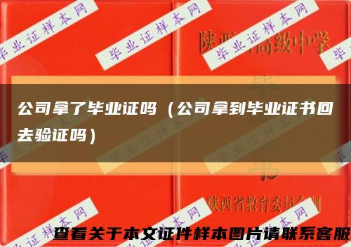 公司拿了毕业证吗（公司拿到毕业证书回去验证吗）缩略图