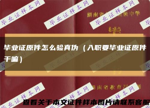 毕业证原件怎么验真伪（入职要毕业证原件干嘛）缩略图