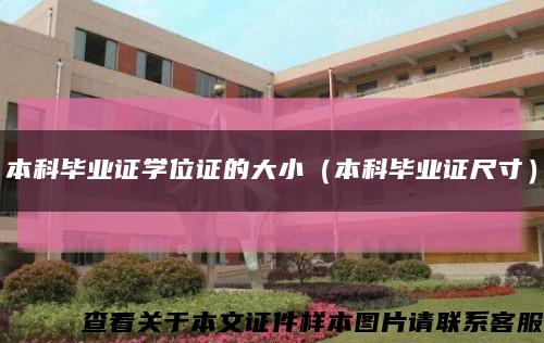 本科毕业证学位证的大小（本科毕业证尺寸）缩略图