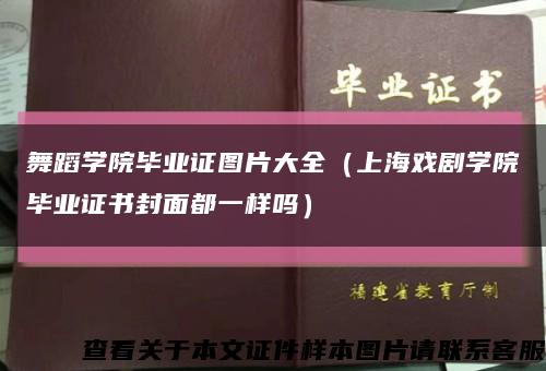 舞蹈学院毕业证图片大全（上海戏剧学院毕业证书封面都一样吗）缩略图