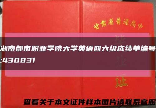 湖南都市职业学院大学英语四六级成绩单编号:430831缩略图