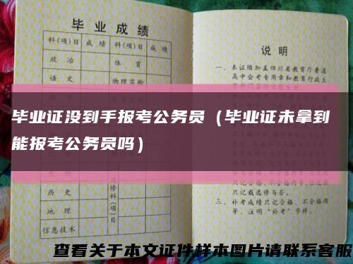 毕业证没到手报考公务员（毕业证未拿到 能报考公务员吗）缩略图