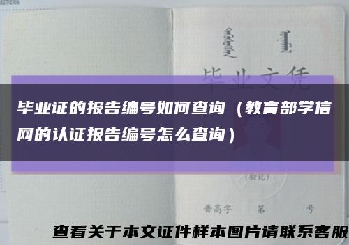 毕业证的报告编号如何查询（教育部学信网的认证报告编号怎么查询）缩略图
