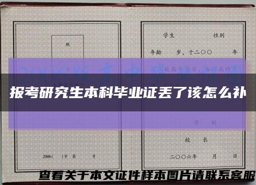 报考研究生本科毕业证丢了该怎么补缩略图