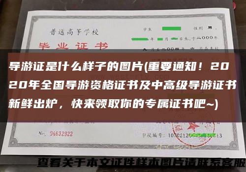 导游证是什么样子的图片(重要通知！2020年全国导游资格证书及中高级导游证书新鲜出炉，快来领取你的专属证书吧~)缩略图