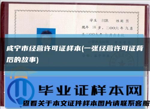 咸宁市经营许可证样本(一张经营许可证背后的故事)缩略图