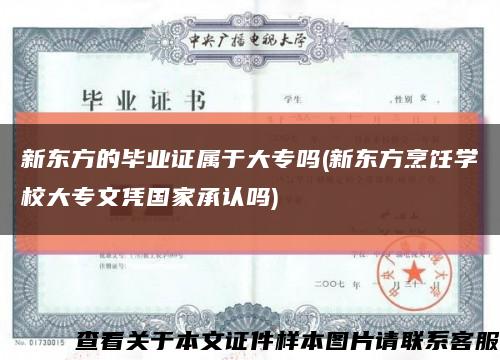 新东方的毕业证属于大专吗(新东方烹饪学校大专文凭国家承认吗)缩略图