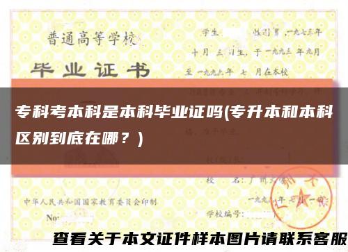专科考本科是本科毕业证吗(专升本和本科区别到底在哪？)缩略图