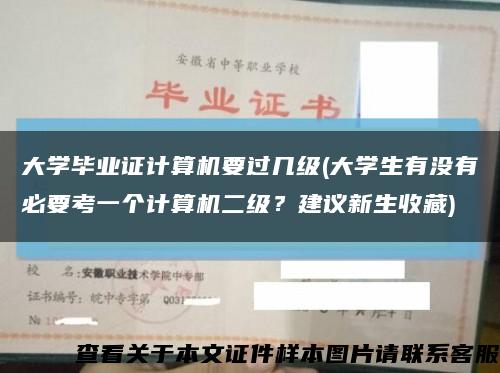 大学毕业证计算机要过几级(大学生有没有必要考一个计算机二级？建议新生收藏)缩略图