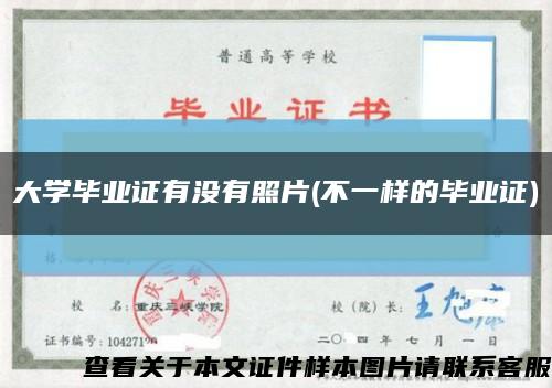 大学毕业证有没有照片(不一样的毕业证)缩略图