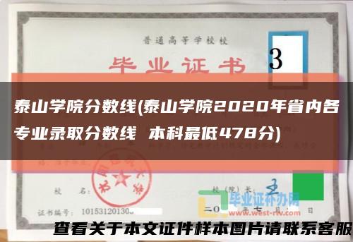 泰山学院分数线(泰山学院2020年省内各专业录取分数线 本科最低478分)缩略图