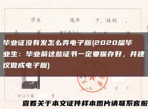 毕业证没有发怎么弄电子版(2020届毕业生：毕业前这些证书一定要保存好，并建议做成电子版)缩略图