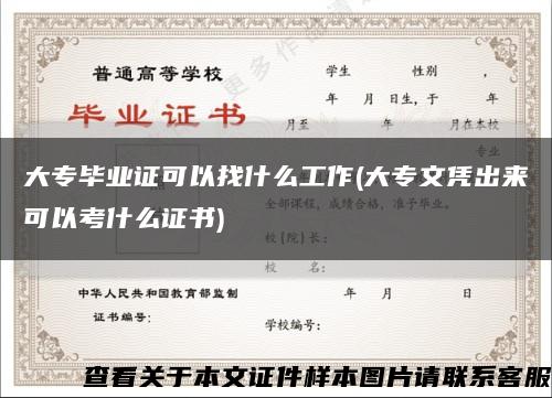 大专毕业证可以找什么工作(大专文凭出来可以考什么证书)缩略图