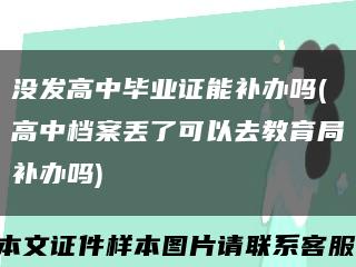 没发高中毕业证能补办吗(高中档案丢了可以去教育局补办吗)缩略图