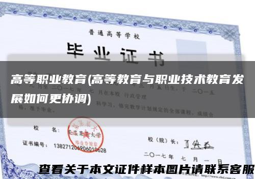 高等职业教育(高等教育与职业技术教育发展如何更协调)缩略图