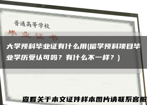 大学预科毕业证有什么用(留学预科项目毕业学历受认可吗？有什么不一样？)缩略图