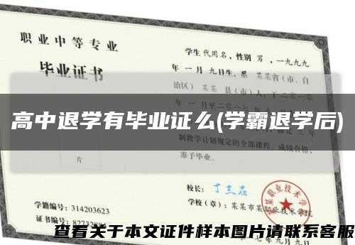 高中退学有毕业证么(学霸退学后)缩略图