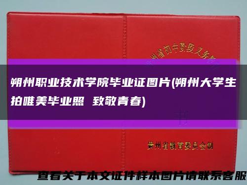 朔州职业技术学院毕业证图片(朔州大学生拍唯美毕业照 致敬青春)缩略图