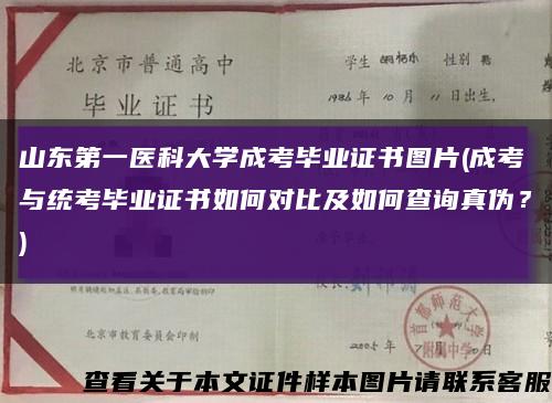 山东第一医科大学成考毕业证书图片(成考与统考毕业证书如何对比及如何查询真伪？)缩略图