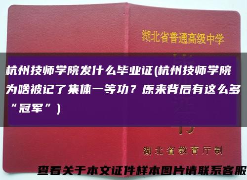 杭州技师学院发什么毕业证(杭州技师学院为啥被记了集体一等功？原来背后有这么多“冠军”)缩略图