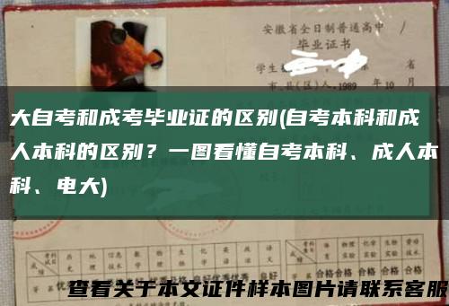 大自考和成考毕业证的区别(自考本科和成人本科的区别？一图看懂自考本科、成人本科、电大)缩略图