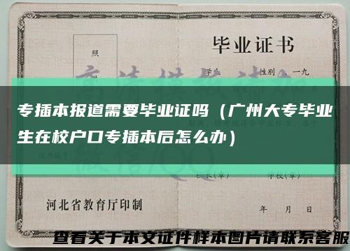 专插本报道需要毕业证吗（广州大专毕业生在校户口专插本后怎么办）缩略图