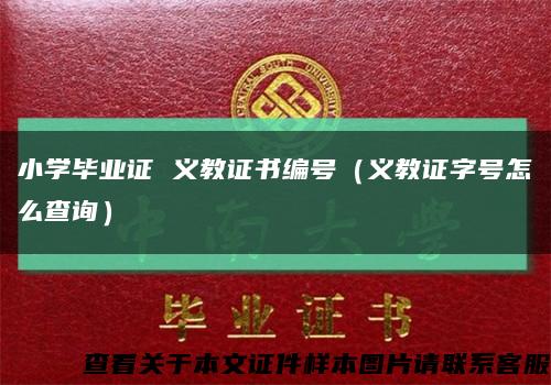 小学毕业证 义教证书编号（义教证字号怎么查询）缩略图