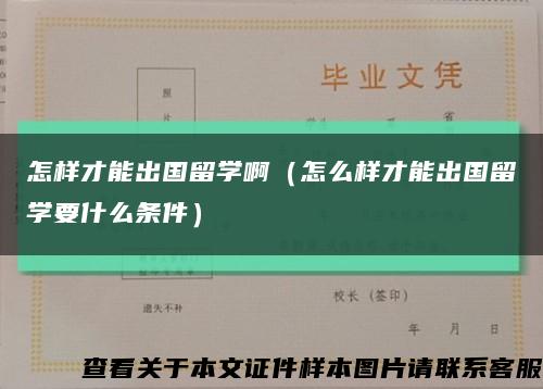 怎样才能出国留学啊（怎么样才能出国留学要什么条件）缩略图