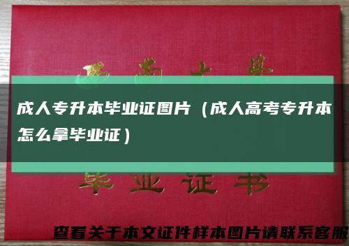 成人专升本毕业证图片（成人高考专升本怎么拿毕业证）缩略图