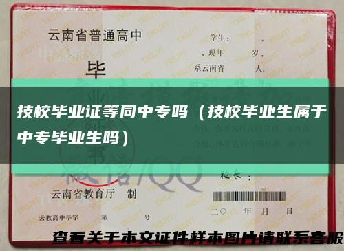 技校毕业证等同中专吗（技校毕业生属于中专毕业生吗）缩略图