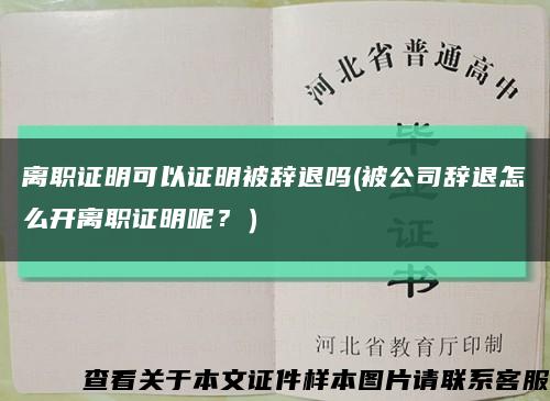 离职证明可以证明被辞退吗(被公司辞退怎么开离职证明呢？）缩略图