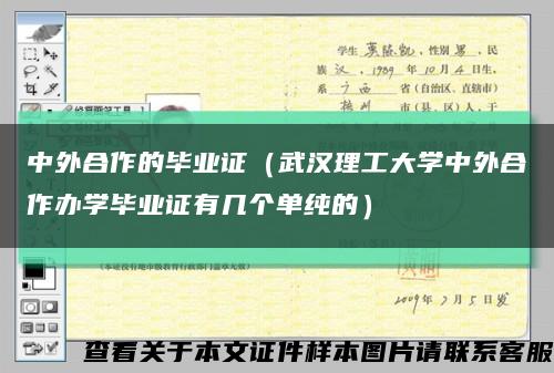 中外合作的毕业证（武汉理工大学中外合作办学毕业证有几个单纯的）缩略图