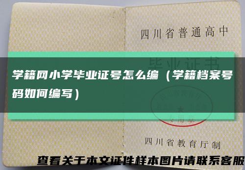 学籍网小学毕业证号怎么编（学籍档案号码如何编写）缩略图