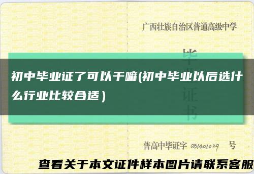 初中毕业证了可以干嘛(初中毕业以后选什么行业比较合适）缩略图