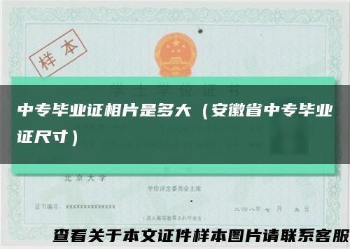 中专毕业证相片是多大（安徽省中专毕业证尺寸）缩略图