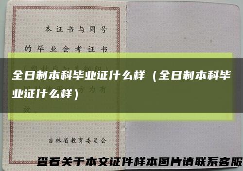 全日制本科毕业证什么样（全日制本科毕业证什么样）缩略图
