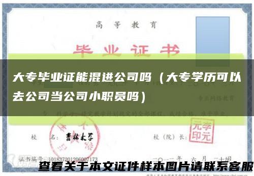 大专毕业证能混进公司吗（大专学历可以去公司当公司小职员吗）缩略图