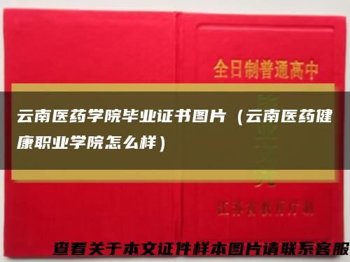 云南医药学院毕业证书图片（云南医药健康职业学院怎么样）缩略图