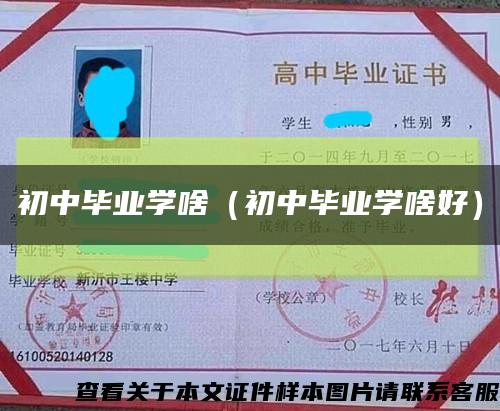 初中毕业学啥（初中毕业学啥好）缩略图