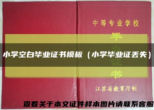 小学空白毕业证书模板（小学毕业证丢失）缩略图