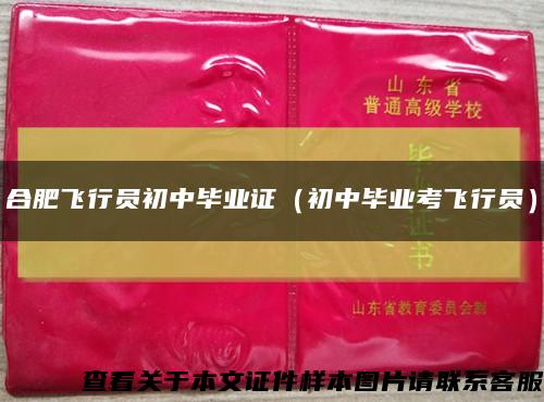 合肥飞行员初中毕业证（初中毕业考飞行员）缩略图