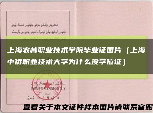 上海农林职业技术学院毕业证图片（上海中侨职业技术大学为什么没学位证）缩略图