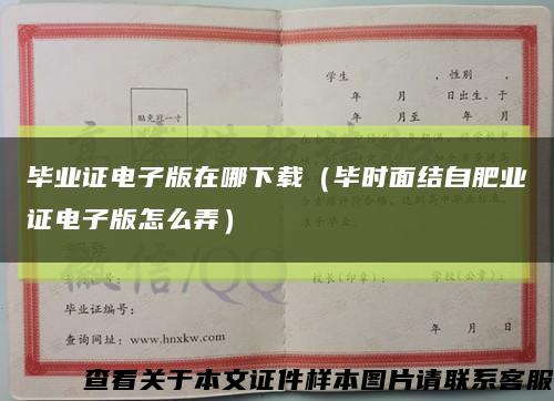 毕业证电子版在哪下载（毕时面结自肥业证电子版怎么弄）缩略图