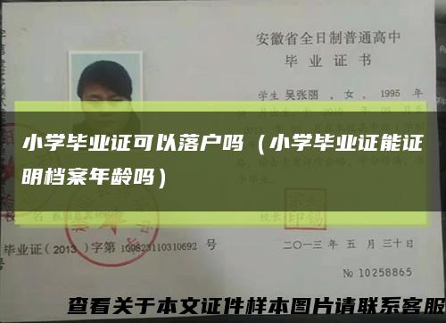 小学毕业证可以落户吗（小学毕业证能证明档案年龄吗）缩略图