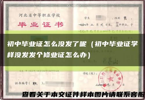 初中毕业证怎么没发了呢（初中毕业证学样没发发个修业证怎么办）缩略图