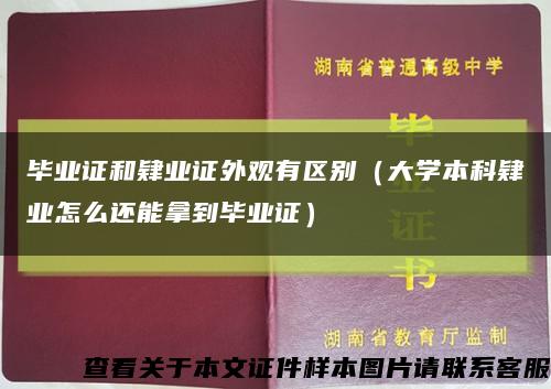 毕业证和肄业证外观有区别（大学本科肄业怎么还能拿到毕业证）缩略图