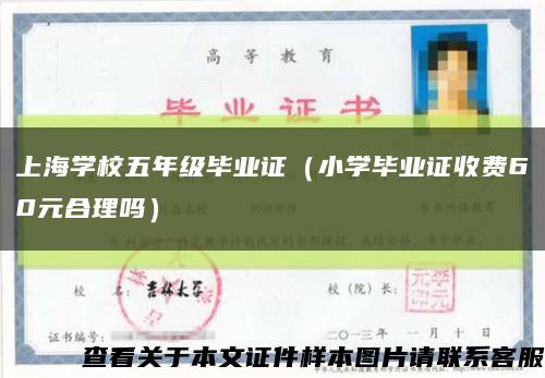 上海学校五年级毕业证（小学毕业证收费60元合理吗）缩略图