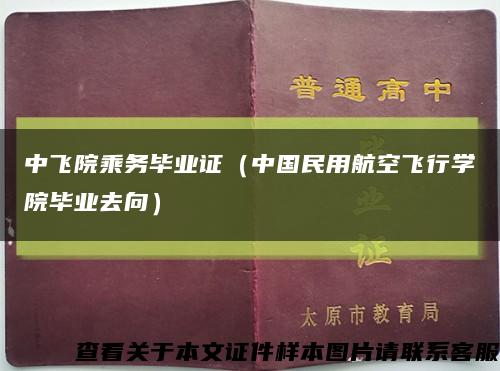中飞院乘务毕业证（中国民用航空飞行学院毕业去向）缩略图